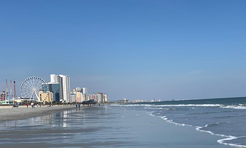 Overview of the Beach