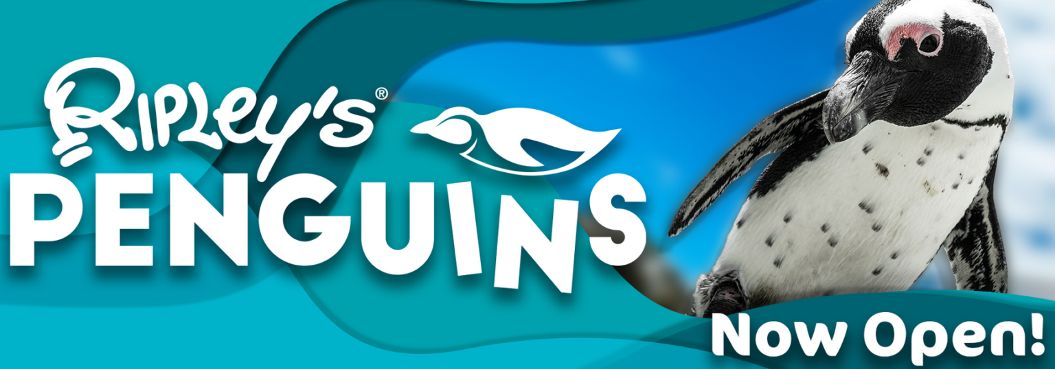 PLAY AT RIPLEY’S AQUARIUM PENGUIN PLAYHOUSE Bay View Resort Myrtle Beach