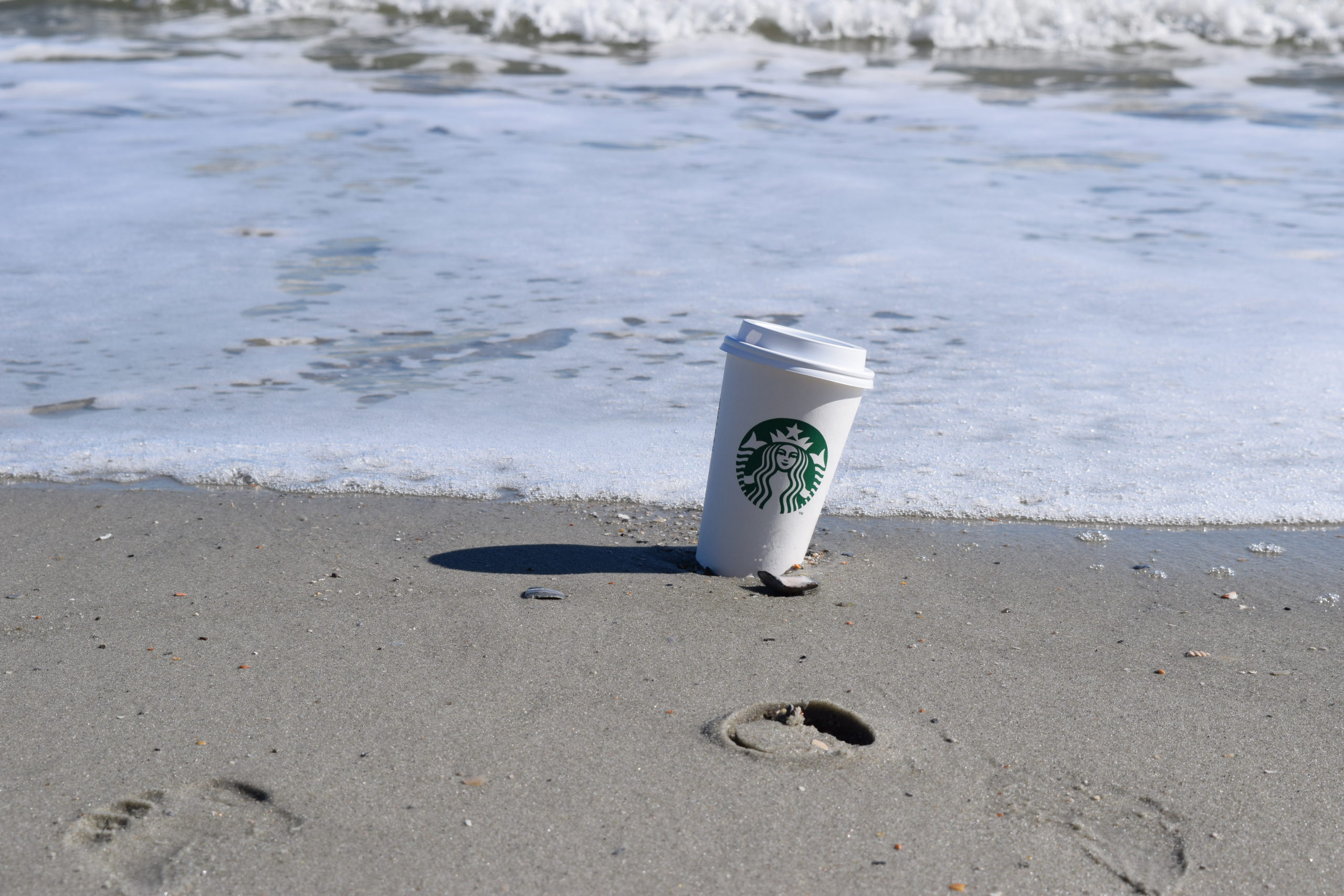 6 Starbucks Drinks You Have to Try This Fall Bay View Resort Myrtle Beach