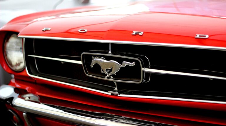 front of a mustang