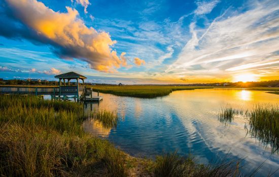 Picture of the marsh