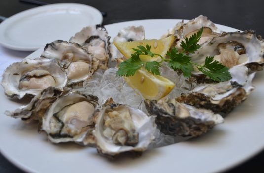 Oysters on a platter to serve