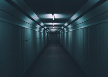 pexels-cedric-1236044-scaled-1.jpg pexels-cedric-1236044-scaled-1.jpg