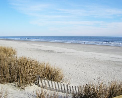 Overview of the Beach